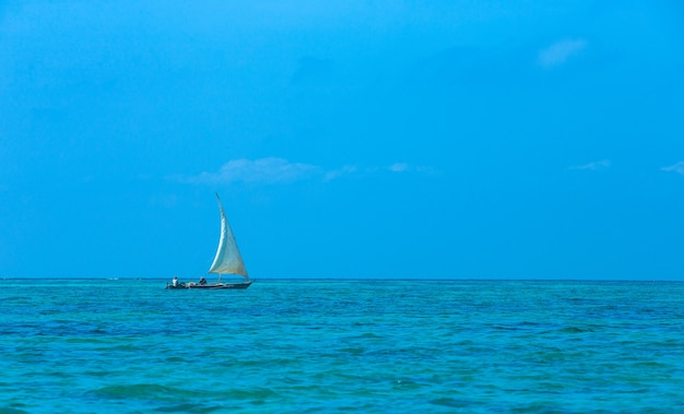 Sea in Zanzibar beach. Natural tropical water paradise.