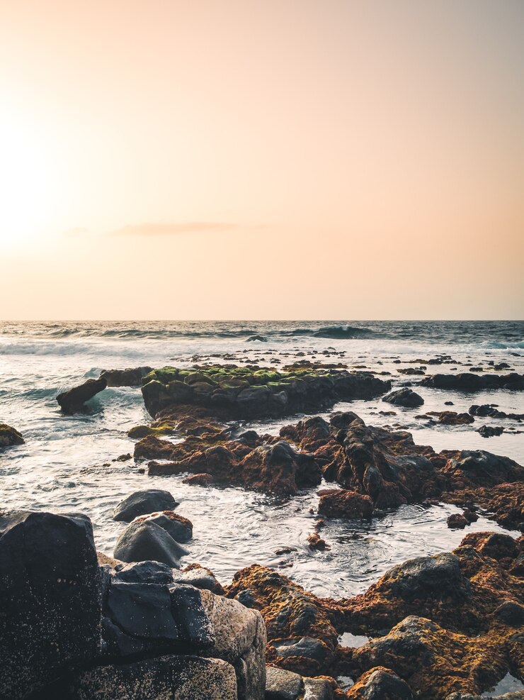 Sea