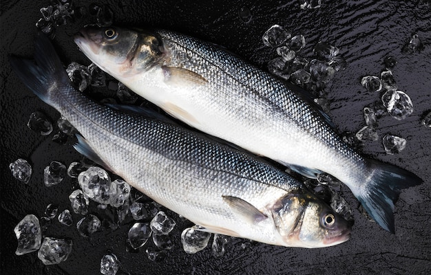 Pesce della spigola su ghiaccio sulla pietra nera