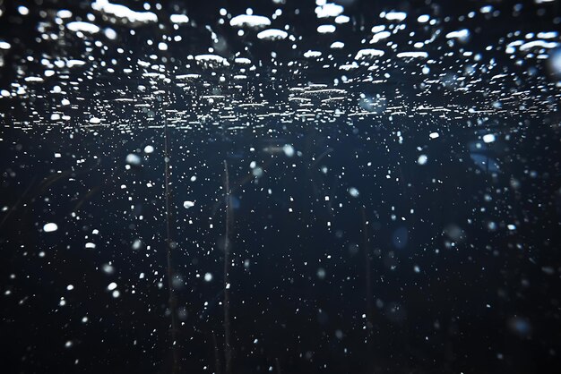 Photo seabed with algae and corals