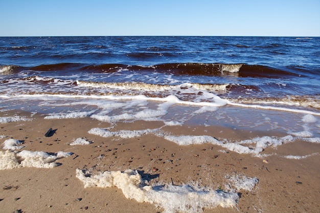 Побережье Белого моря. Россия, Архангельская область.