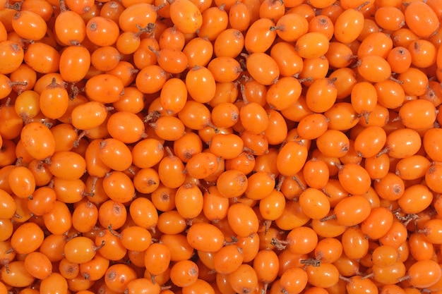 Seabuckthorn as background texture