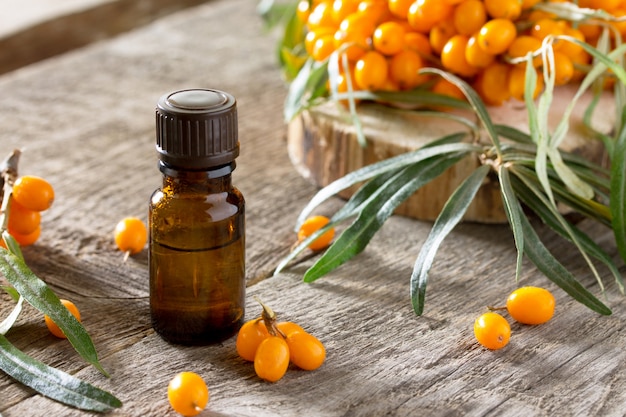 Seabuckthorn berries branch and essential oil