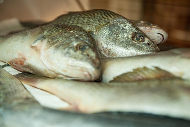 Foto frutti di mare venduti nel mercato pubblico