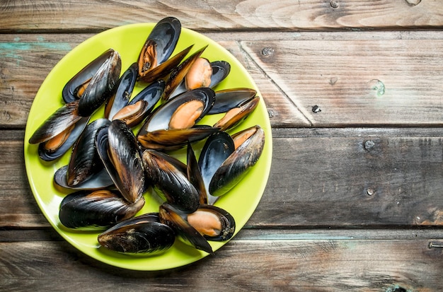 Seafood clams on a plate