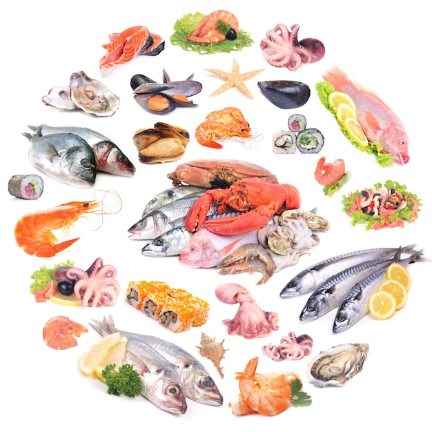 seafood collection