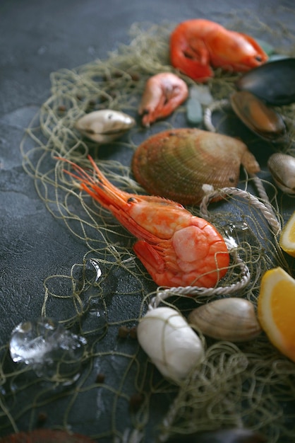 Seafood on a dark background, Shrimps, mussels, mussels on black stone