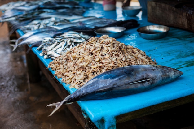 Морепродукты на рыбном рынке.