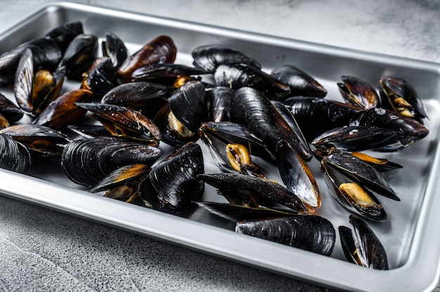 Photo seafood fresh blue mussels in kitchen steel tray