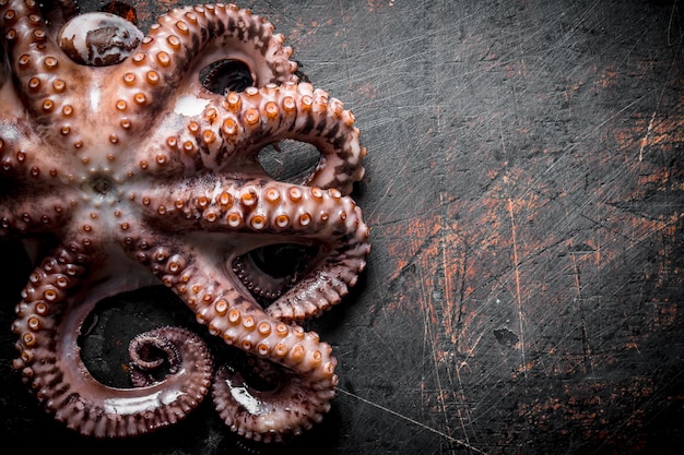 Seafood Fresh octopus