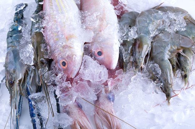 魚市場での氷上シーフード。