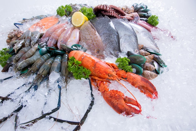 Seafood on ice at the fish market.