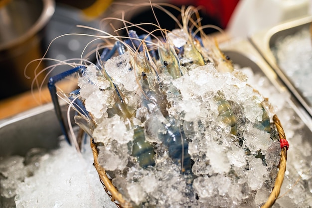 Seafood Japanese cuisine fresh prawn chilled with ice