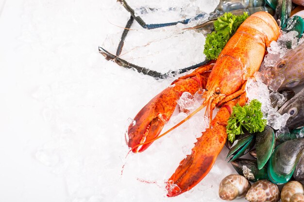 Seafood market fresh food sea