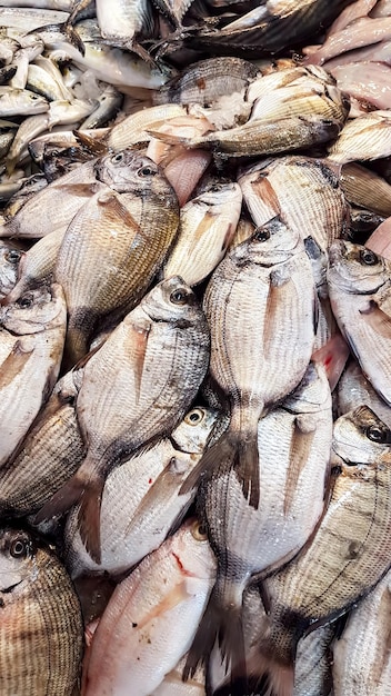 Seafood and raw fish market. Food concept photo.