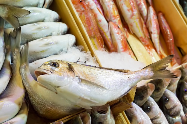 Seafood and raw fish market. Food concept photo.