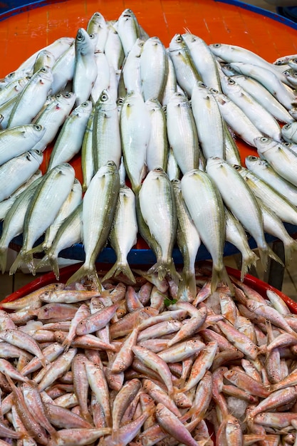 海産物と生魚の市場。食品のコンセプト写真。