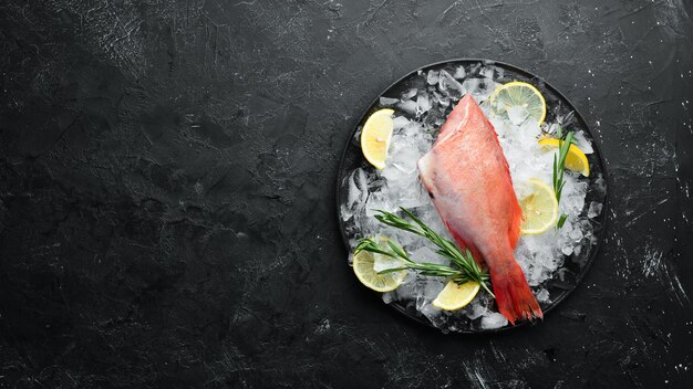 Seafood raw snapper on ice. Top view. Free space for your text.