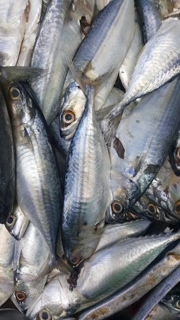 Seafood in roadside stores in the market 