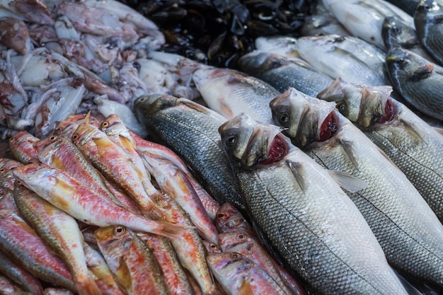 Seafood selling at the fish market in Turkeye