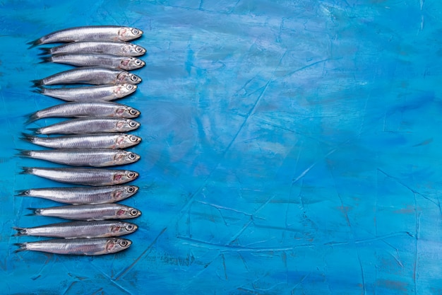 Seafood. Small sea fish, anchovies, sardines on the blue background. with copy space