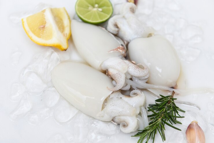 Кальмары из морепродуктов на льду для приготовления еды в ресторане, Свежие сырые каракатицы из осьминога, океан для гурманов