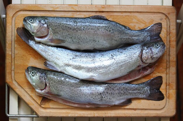 Foto seafood tijd vis op de snijplank