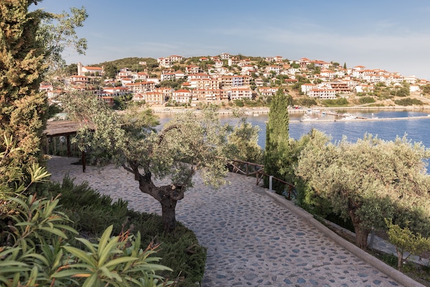 Seafront road surrounded by olive trees leads to a small Mediterranean town on a seashore hill