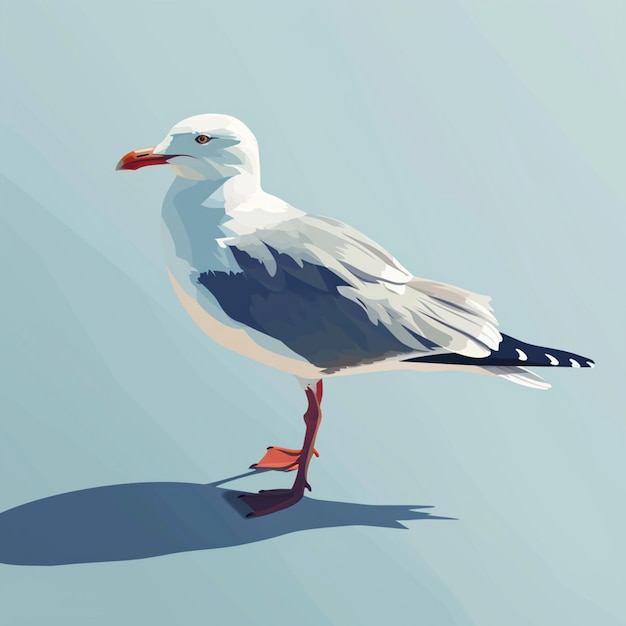 seagull concept