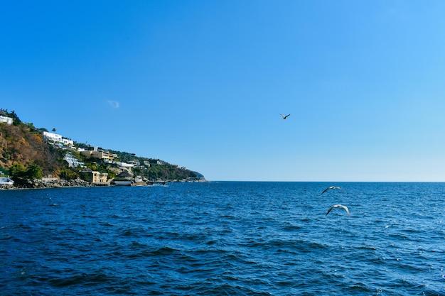 A seagull flies over the water with a hill in the background