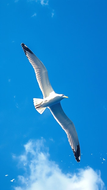 Seagull gracefully flying amidst the vast expanse of blue sky Vertical Mobile Wallpaper