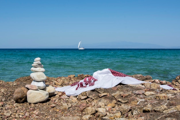 seagull on rocks by sea against clear sky