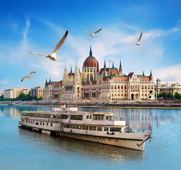 Seagulls over boat near Parliament on Danube river in Budapest