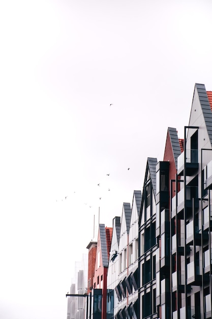 Seagulls fly over the houses in the city near the sea.