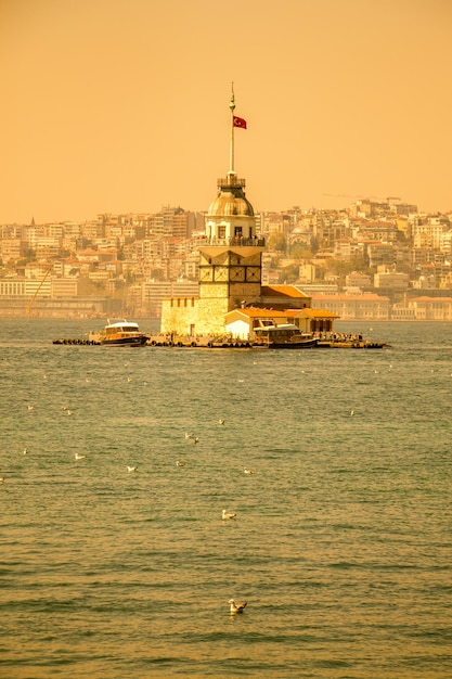 Seagulls and maidens Tower in Istanbul