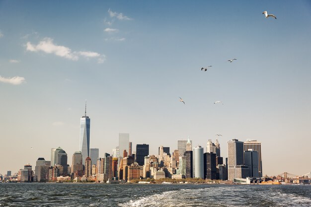 Seagulls over Manhattan