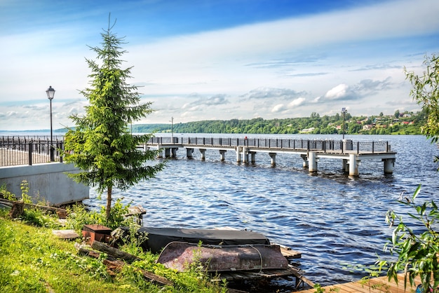 Seagulls sit on the pier in Plyos and a lonely spruce