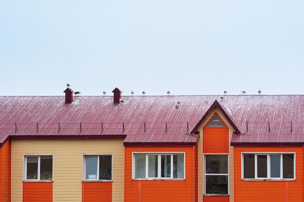 Seagulls sit on the roof of a wooden house