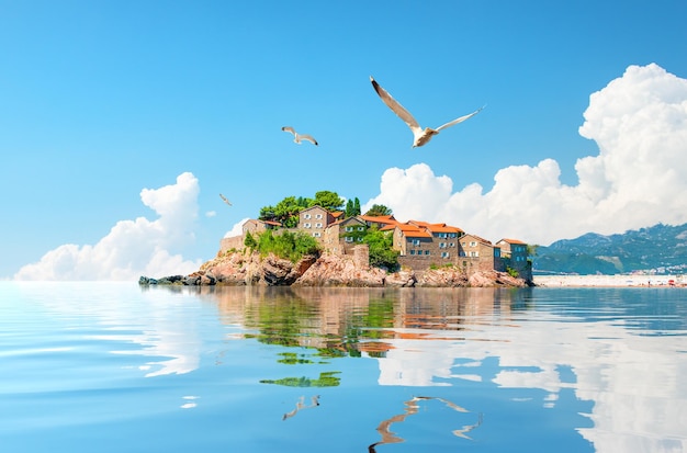 Seagulls and Sveti Stefan island in Montenegro