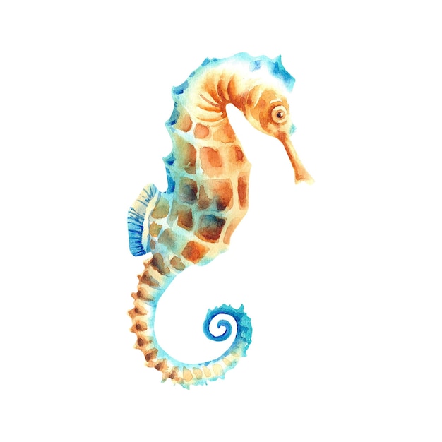 Seahorse Aquarel illustratie op een geïsoleerde achtergrond Zeedieren Onderwaterwereld