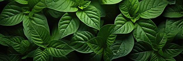 Seamless Background Of Serrated Leaves Hd Background Background For Website