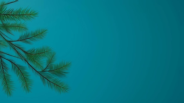 seamless background with coniferous branches pattern coniferous fir