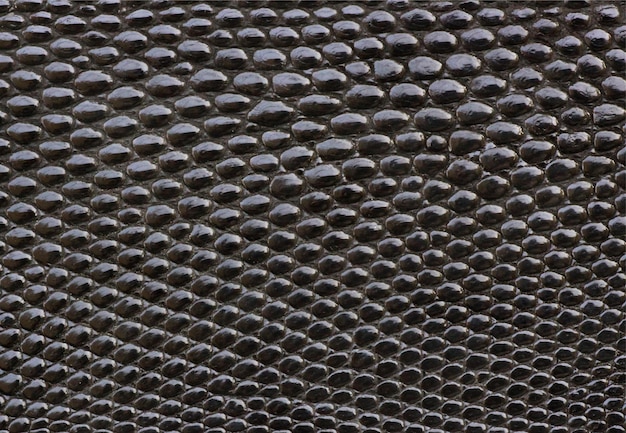 Photo seamless black reptile leather texture photograph