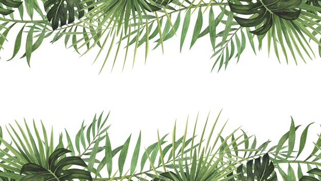 Foto frame a confine senza cuciture foglia tropicale monstera e acquerello di palma isolato su sfondo bianco acquerello disegnato a mano illustrazione botanica disegno artistico per poster modello di imballaggio