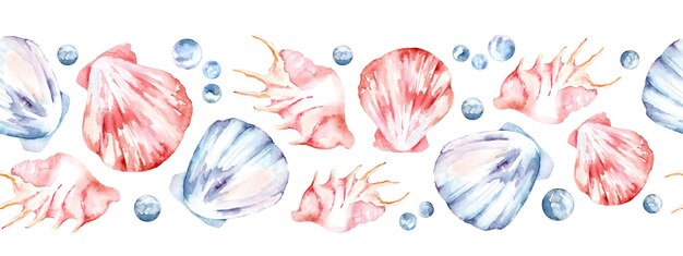 Foto confine senza cuciture con conchiglie d'acqua disegnato a mano illustrazione ad acquerello su sfondo bianco isolato per banner conchiglia d'acqua modello per il design in stile nautico sfondo oceanico con cochiglie