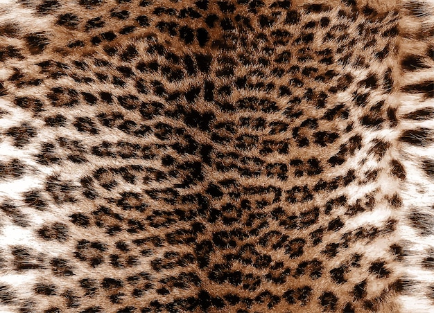 Foto modello di pelliccia di leopardo marrone senza cuciture. sfondo di lusso realistico. pelle di animale. carta da parati decorativa