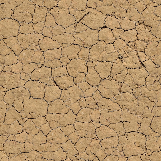 Seamless Dirt Texture The dusty rough surface of the earth Background for design 3D Desert