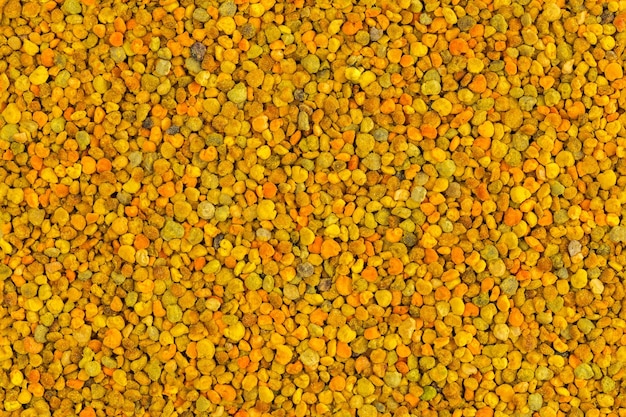 Seamless flat texture and background of yellow bee pollen granules