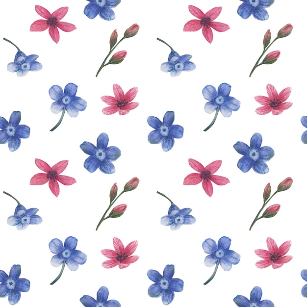Foto disegno floreale senza cuciture di bellissimi piccoli fiori blu forgetmenot isolati su sfondo bianco illustrazione ad acquerello disegnata a mano