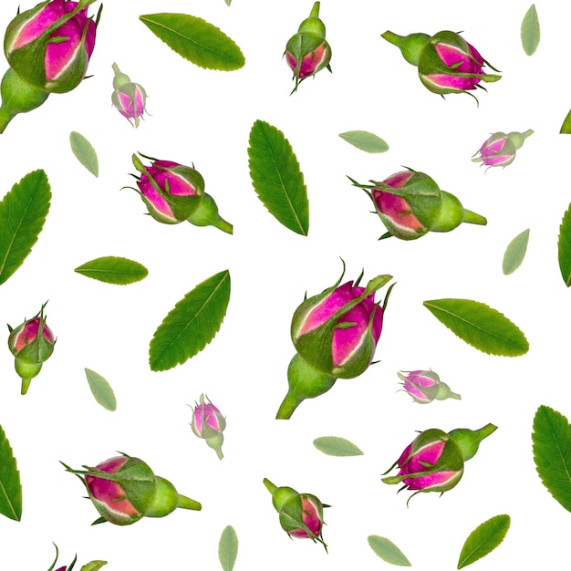 Seamless floral pattern of rosebuds with leaves